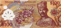 100 Brunei dollars (передняя сторона)