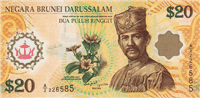 20 Brunei dollars (передняя сторона)